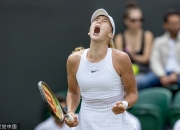 竞技宝-莎拉波娃爆冷击败独行侠，出色防守引爆全场！的简单介绍